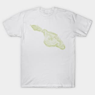 Santa Catalina Island (green) T-Shirt